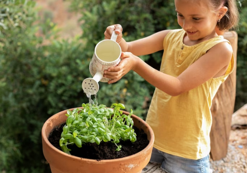 <span>Como</span> criar um jardim sustentável na escola.